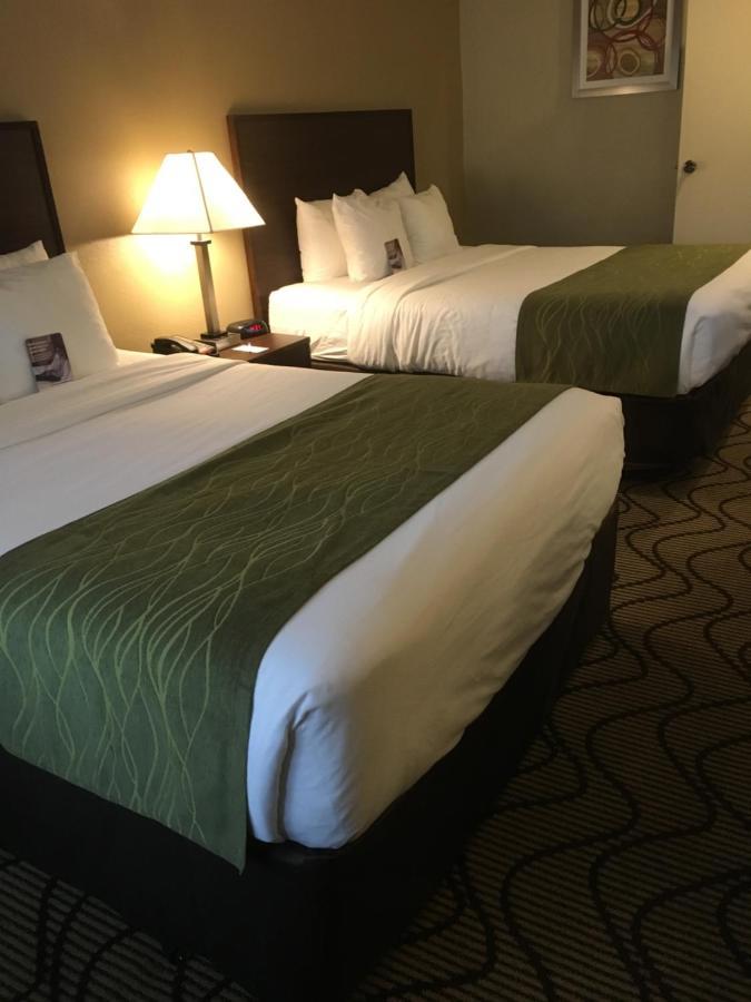 Comfort Inn & Suites Orange County John Wayne Airport Santa Ana Esterno foto